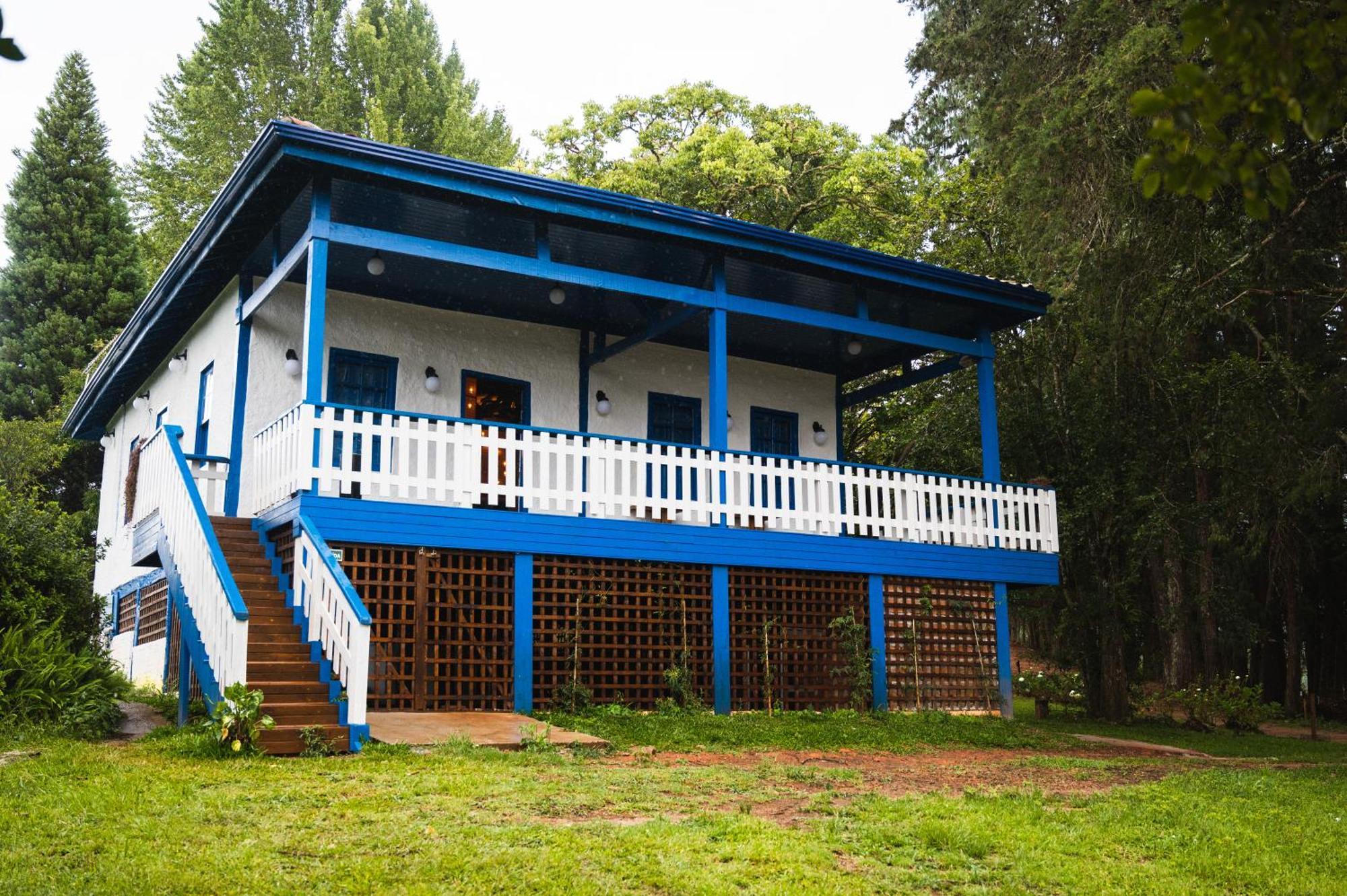 Black Monte Verde (Minas Gerais)