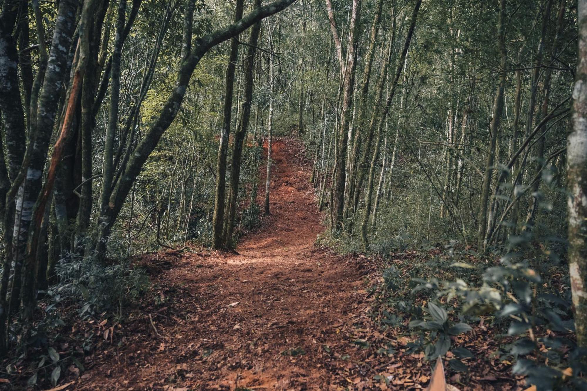 Black * Monte Verde (Minas Gerais)