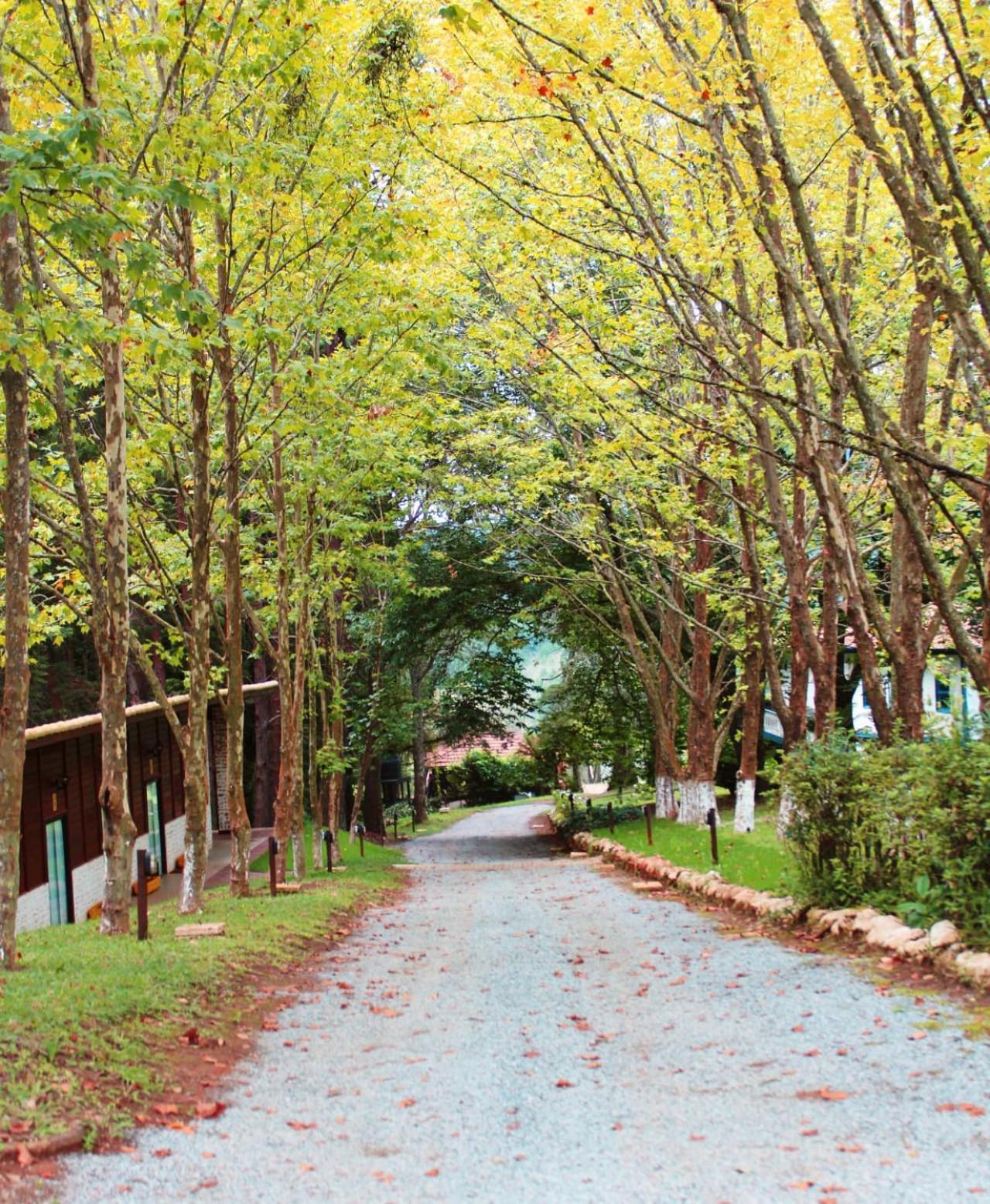 Black * Monte Verde (Minas Gerais)